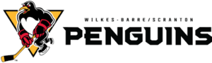 Wilkes-Barre Scranton Penguins Semi-Professional Sports Team Market Analysis June 2007